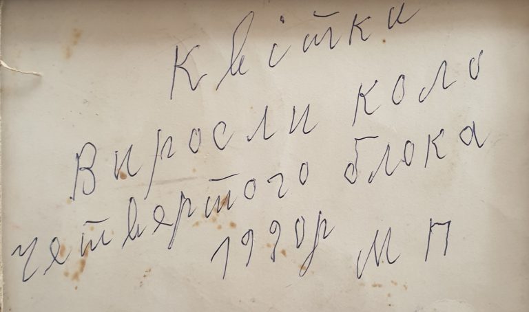 Аукціон “Квіти Приймаченко для ЗСУ” вже розпочався