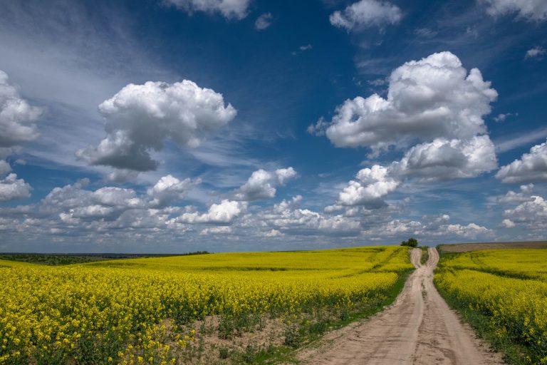 «Вікі любить Землю» (Wiki Loves Earth)